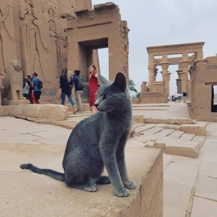 Spirit Luxor Luxury Daire Dış mekan fotoğraf
