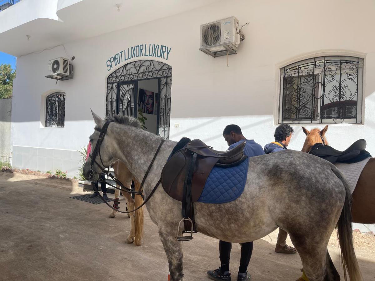 Spirit Luxor Luxury Daire Dış mekan fotoğraf